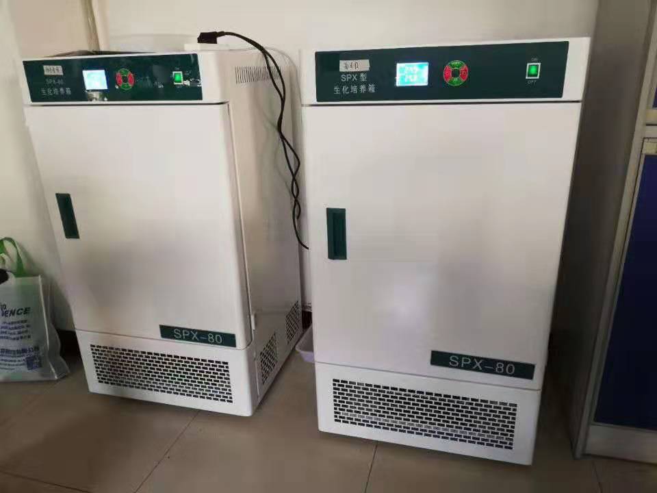 Incubadora de enfriamiento BOD de laboratorio
