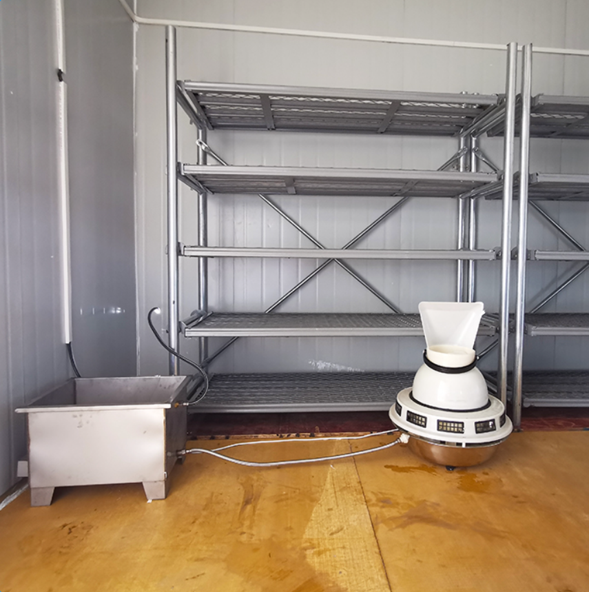imagen de la habitación de curado