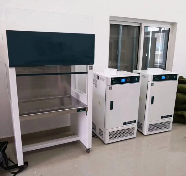 capucha de flujo laminar estándar